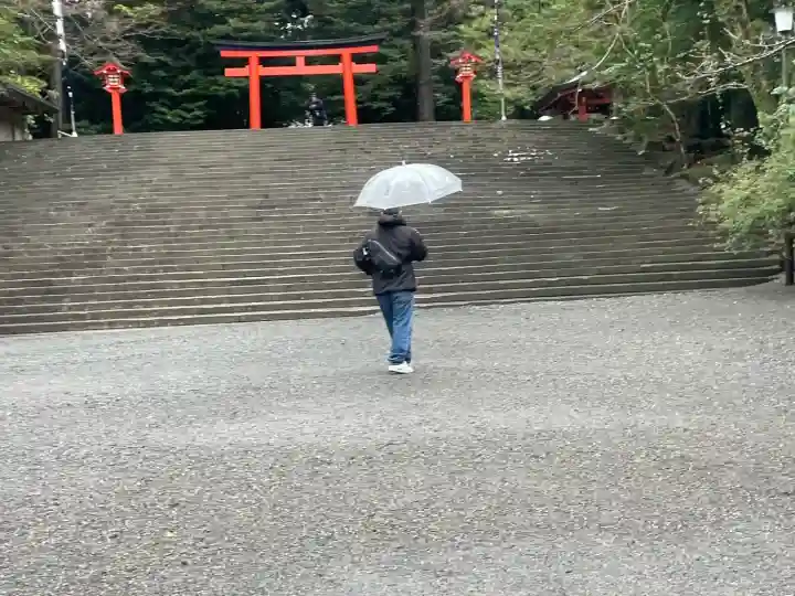 霧島神宮(鹿児島県)