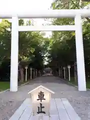 新琴似神社の鳥居