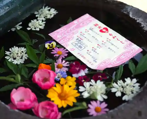 今市報徳二宮神社(栃木県)