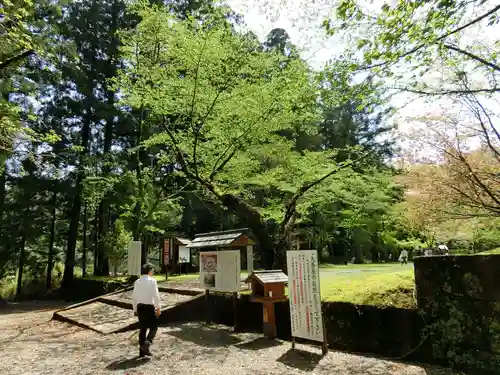 大斎原（熊野本宮大社旧社地）のその他建物