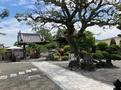 多聞寺の庭園