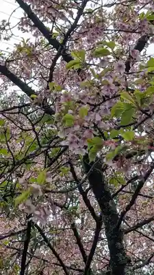 惠心院(京都府)
