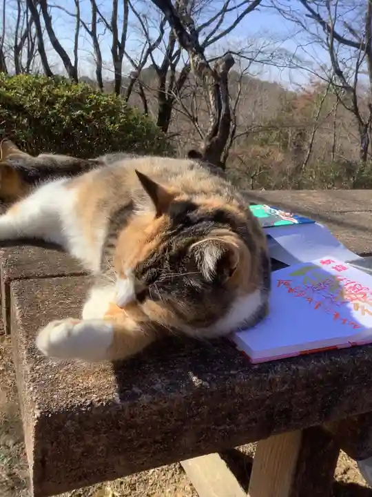 玉野御嶽神社の動物