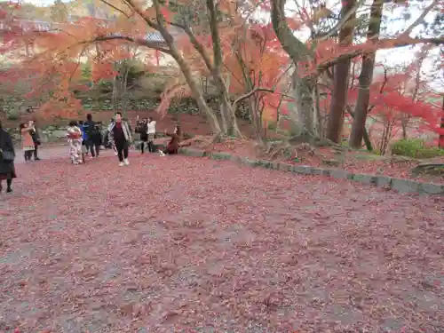 毘沙門堂門跡の自然