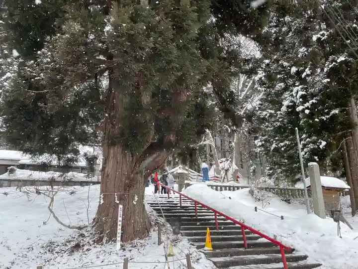 御座石神社の自然