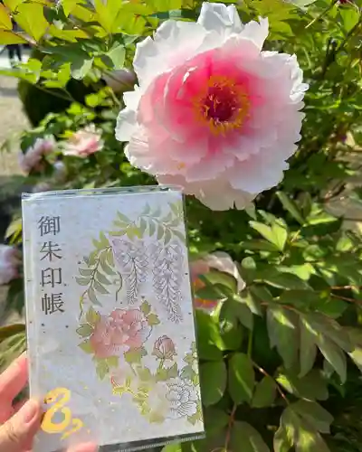 金蛇水神社(宮城県)