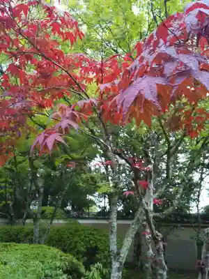 酬恩庵一休寺(京都府)