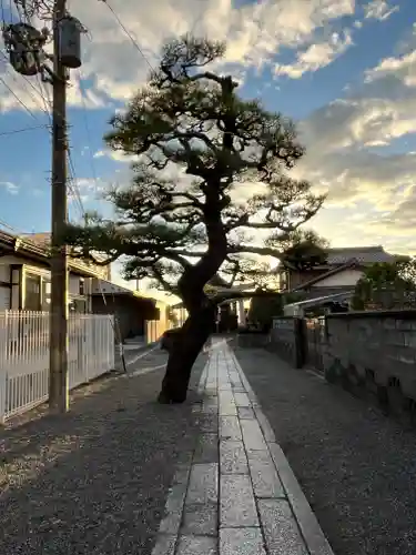 都久生須麻神社(滋賀県)