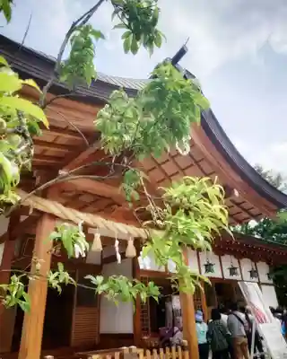 尾張大國霊神社（国府宮）(愛知県)