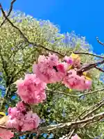 鹿島台神社(宮城県)