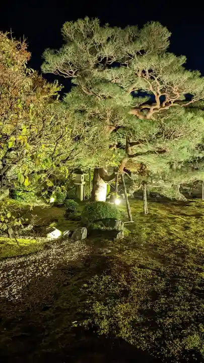妙顯寺(妙顕寺)(京都府)
