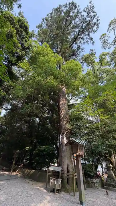 石上神宮(奈良県)