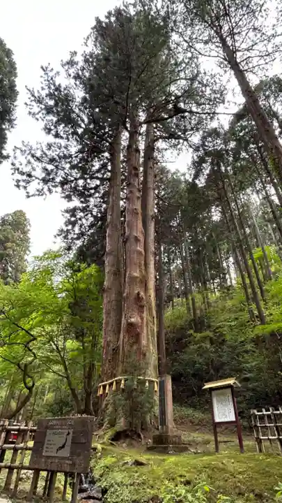御岩神社の自然