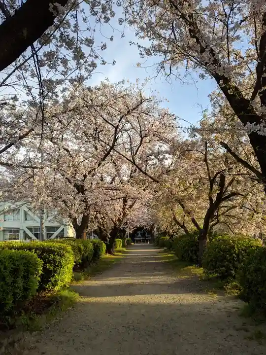 伊多波刀神社(愛知県)