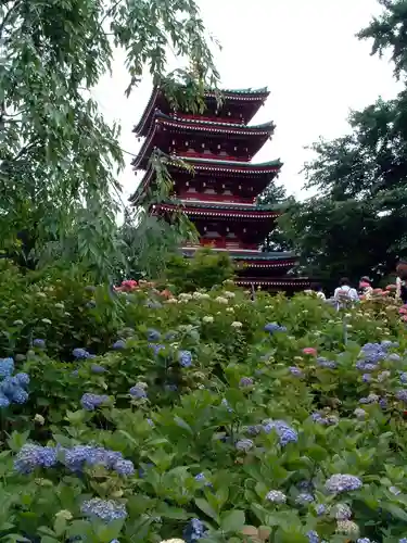 本土寺(千葉県)