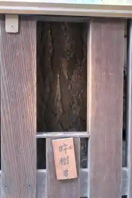 平等寺（因幡堂）(京都府)