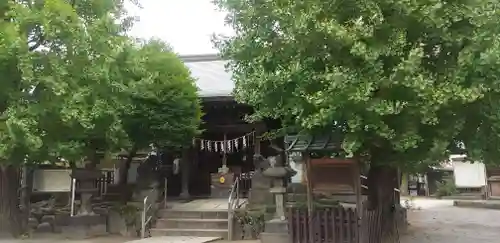 白髭神社の本殿・本堂