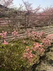 南法華寺（壷阪寺）の自然