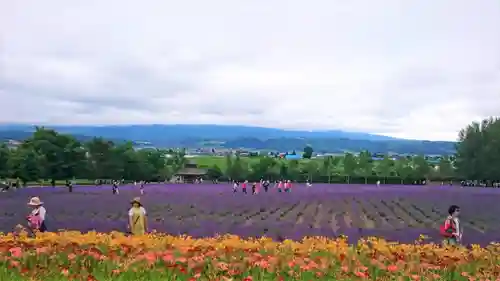富良野神社の周辺