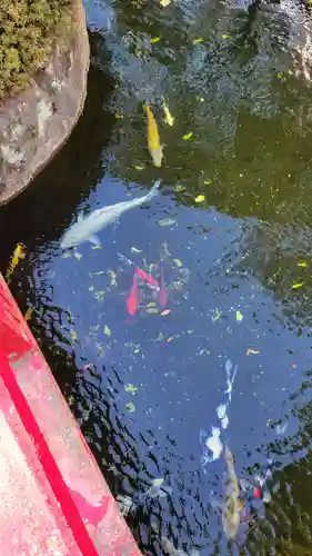 遍照院(愛知県)