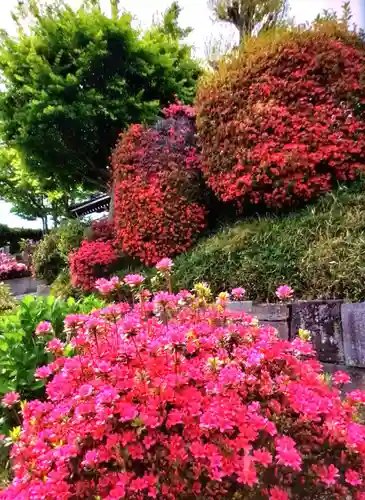 神足寺(東京都)
