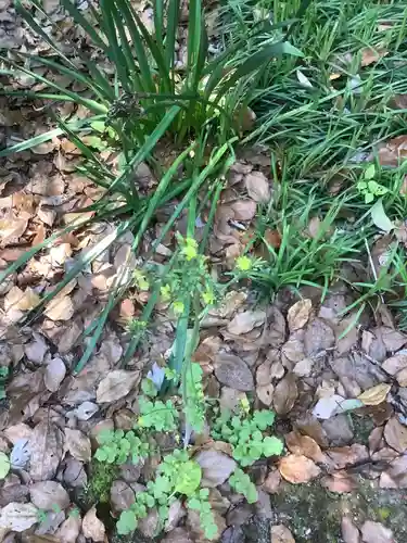 堤治神社の自然