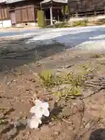 伏木香取神社の自然