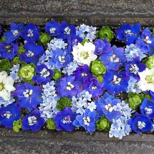 行田八幡神社の手水舎