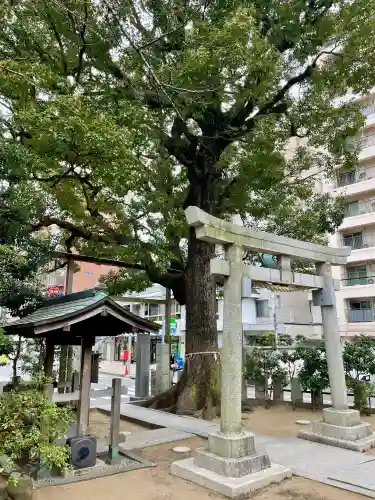 八幡神社の{uncategorized: "未分類", other: "その他", undefined: "問題あり", building: "その他建物", grave: "お墓", sacred_gate: "鳥居", guardian: "狛犬", statue: "像", buddha: "仏像", history: "歴史", nature: "自然", garden: "庭園", animal: "動物", pagoda: "塔", temizu: "手水舎", mountain_gate: "山門・神門", sanctuary: "本殿・本堂", subordinate: "末社・摂社", art: "芸術", scenery: "景色", jizo: "地蔵", ema: "絵馬", goshuin: "御朱印", omikuji: "おみくじ", items: "授与品その他", amulet: "お守り", goshuincho: "御朱印帳", eats: "食事", festival: "お祭り", votive_dance: "神楽", shichigosan: "七五三参", wedding: "結婚式", experience: "体験その他", initially: "初詣", around: "周辺", anti_infection: "感染症対策"}