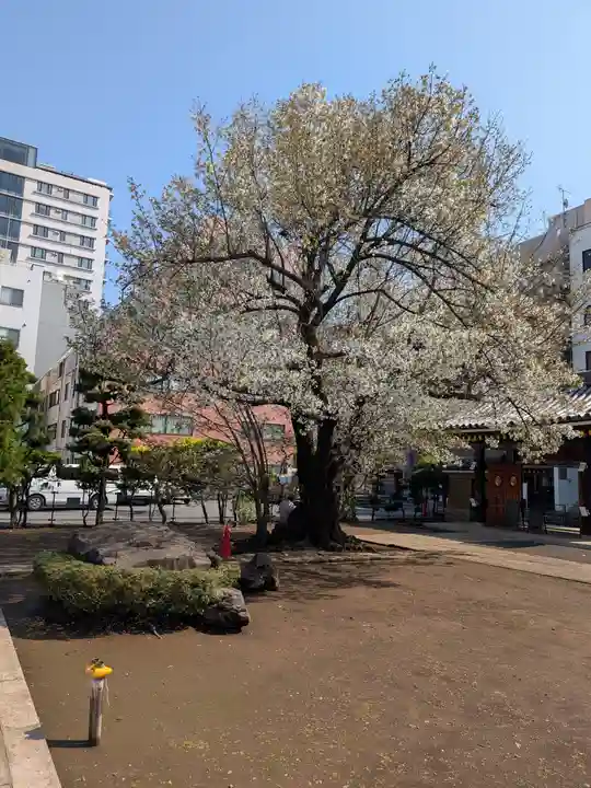 霊雲寺(東京都)