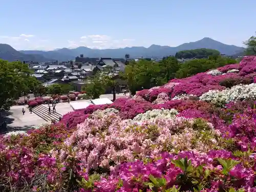誠照寺(福井県)