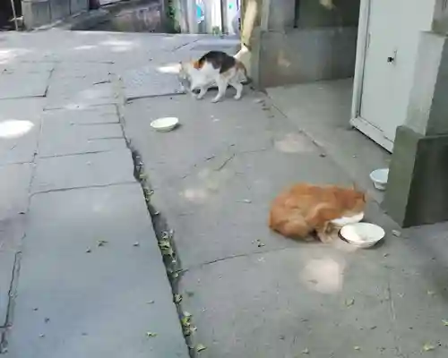戸越八幡神社の動物