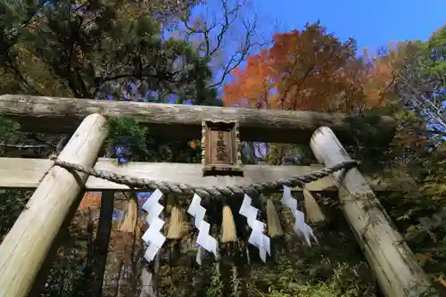 隠津島神社の鳥居