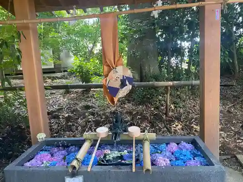 下野 星宮神社(栃木県)