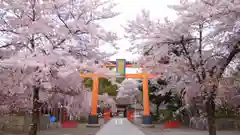 平野神社の鳥居