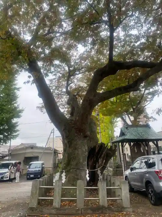 阿邪訶根神社(福島県)