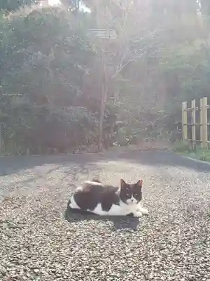 白金氷川神社(東京都)