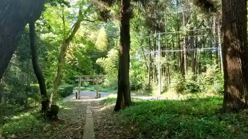 天神社(茨城県)