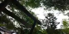 出雲大神宮の自然