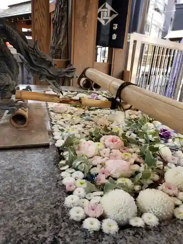 高円寺氷川神社の手水舎