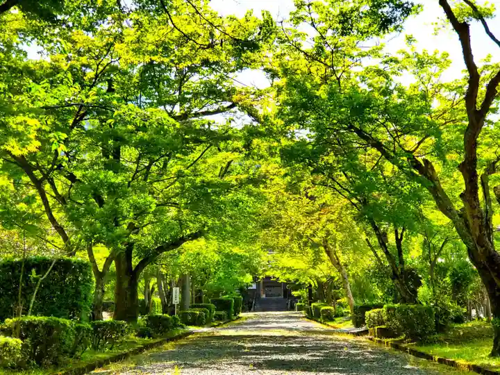三寶寺のその他建物