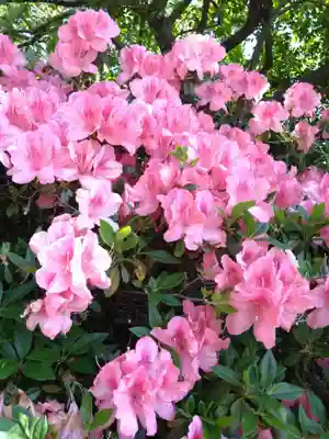 四山神社(熊本県)