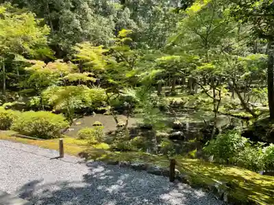 西芳寺の庭園