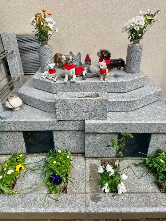 法音寺の{uncategorized: "未分類", other: "その他", undefined: "問題あり", building: "その他建物", grave: "お墓", sacred_gate: "鳥居", guardian: "狛犬", statue: "像", buddha: "仏像", history: "歴史", nature: "自然", garden: "庭園", animal: "動物", pagoda: "塔", temizu: "手水舎", mountain_gate: "山門・神門", sanctuary: "本殿・本堂", subordinate: "末社・摂社", art: "芸術", scenery: "景色", jizo: "地蔵", ema: "絵馬", goshuin: "御朱印", omikuji: "おみくじ", items: "授与品その他", amulet: "お守り", goshuincho: "御朱印帳", eats: "食事", festival: "お祭り", votive_dance: "神楽", shichigosan: "七五三参", wedding: "結婚式", experience: "体験その他", initially: "初詣", around: "周辺", anti_infection: "感染症対策"}