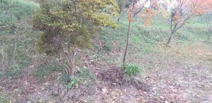 阿久津「田村神社」(郡山市阿久津町)旧社名:伊豆箱根三嶋三社の自然