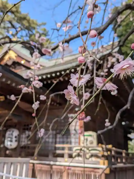 布多天神社(東京都)