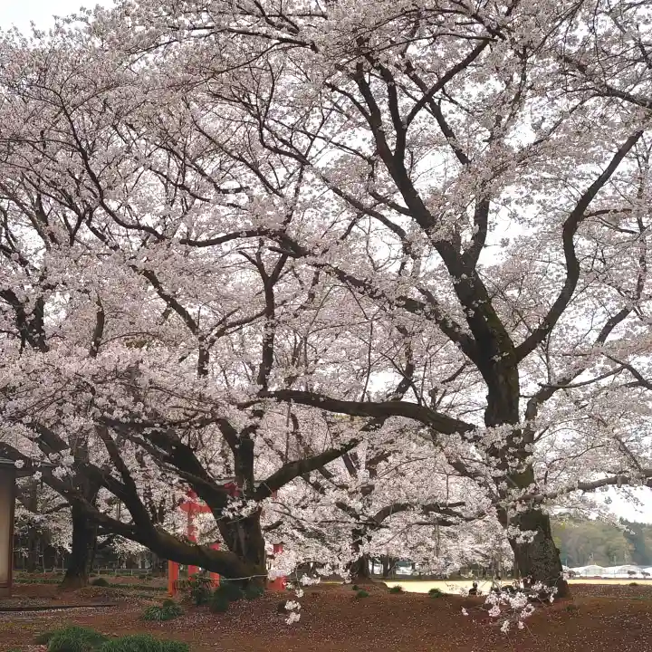 東蕗田天満社の自然