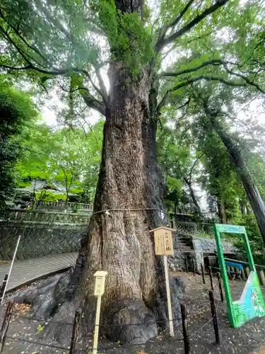 五所神社(神奈川県)