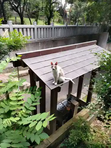 前原御嶽神社の動物