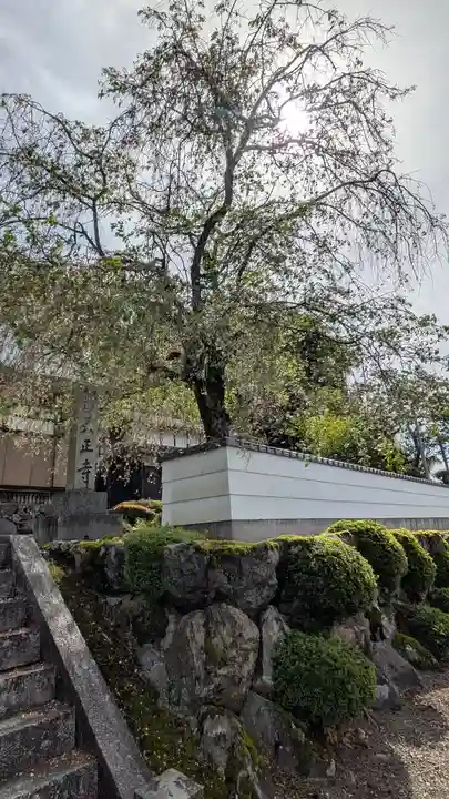 天正寺(滋賀県)